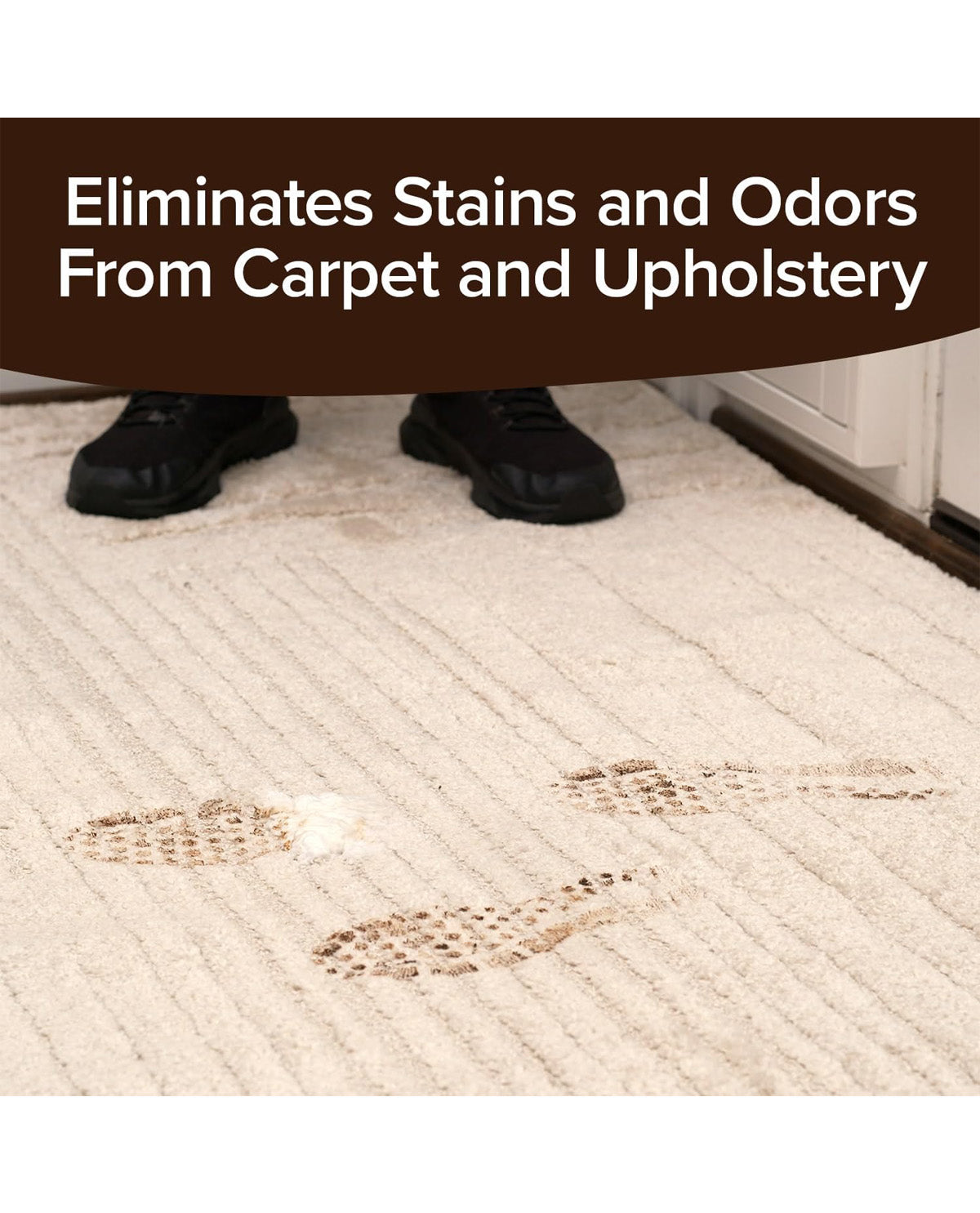 Horsepower Bull Shot Carpet Spot & Stain Remover
