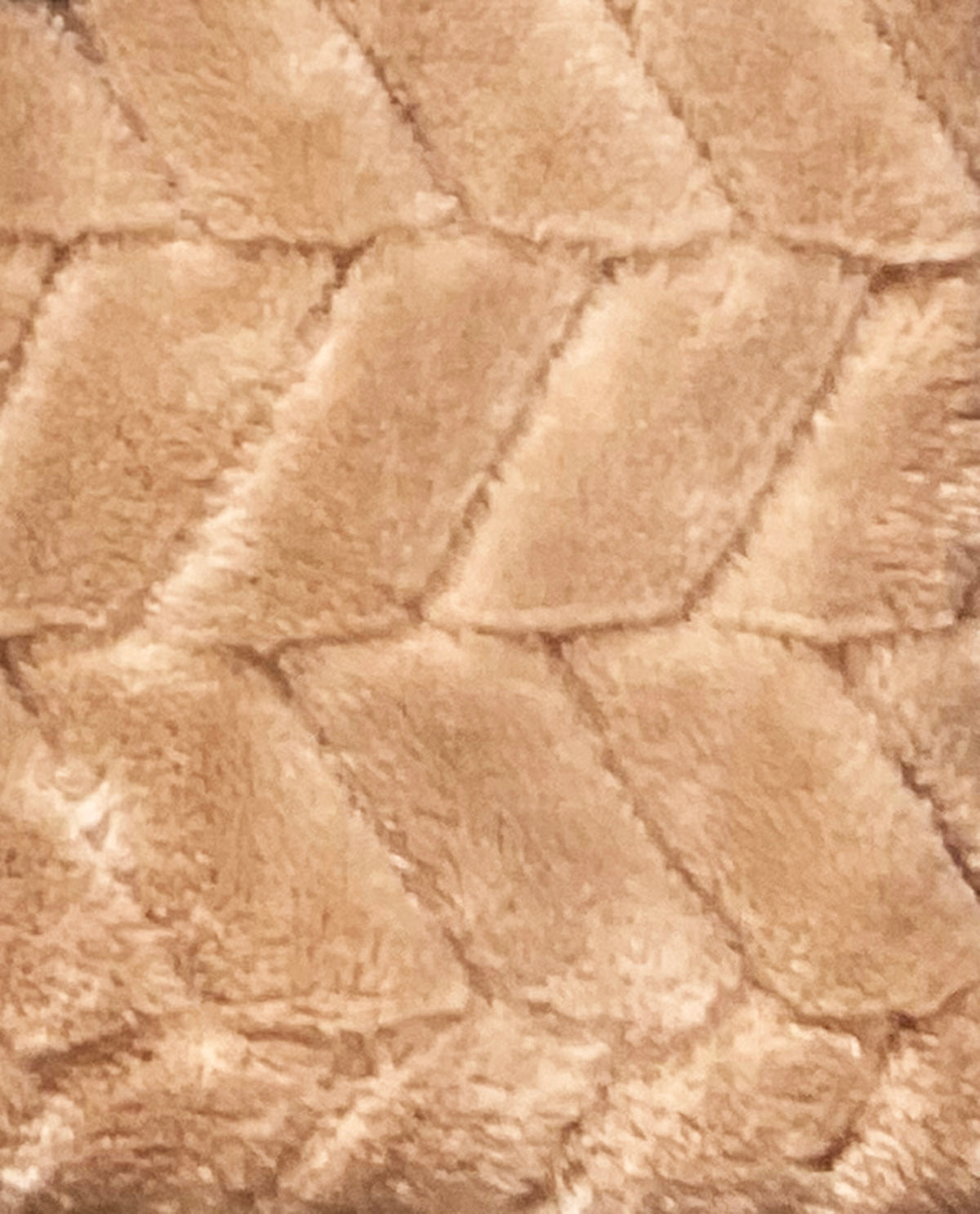 Solid Velvet Blankets Twin