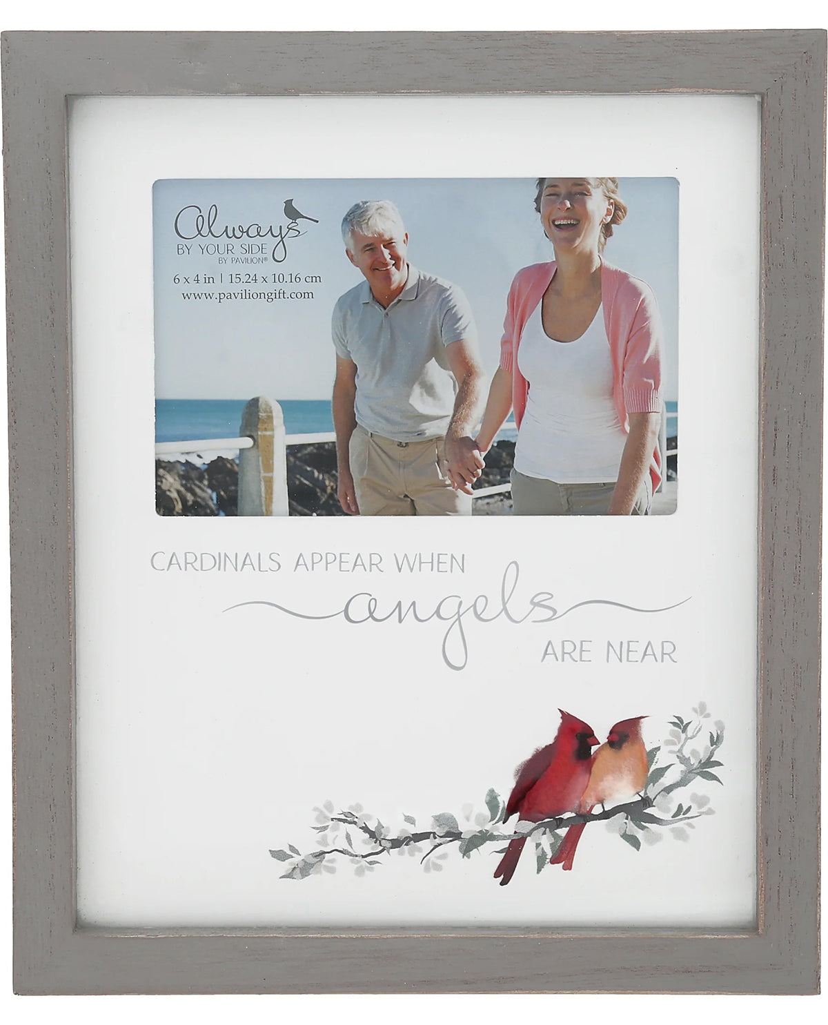 Cardinals Appear Memory Frame