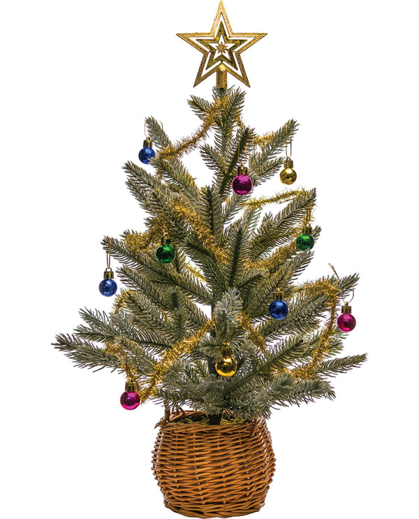 Festive Christmas Plant Decorations