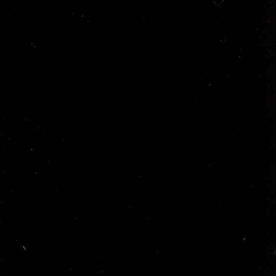 Real Essentials Men's Performance French Terry Short