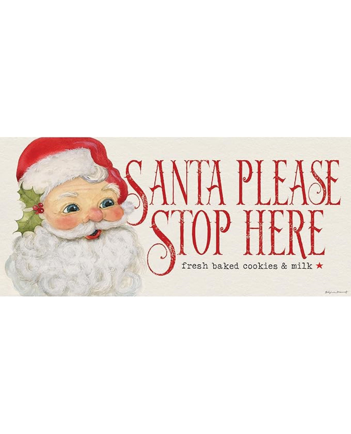 Santa Please Stop Here Sassafras Switch Mat