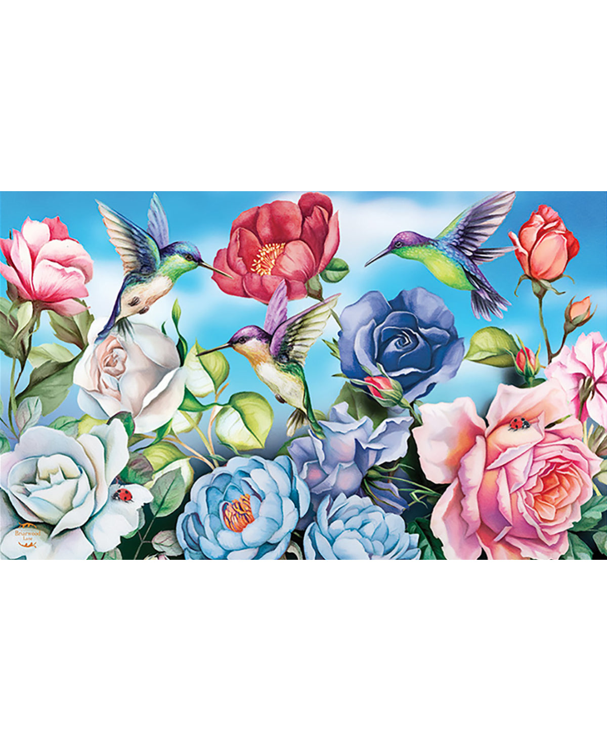 Hummingbirds And Roses Doormat