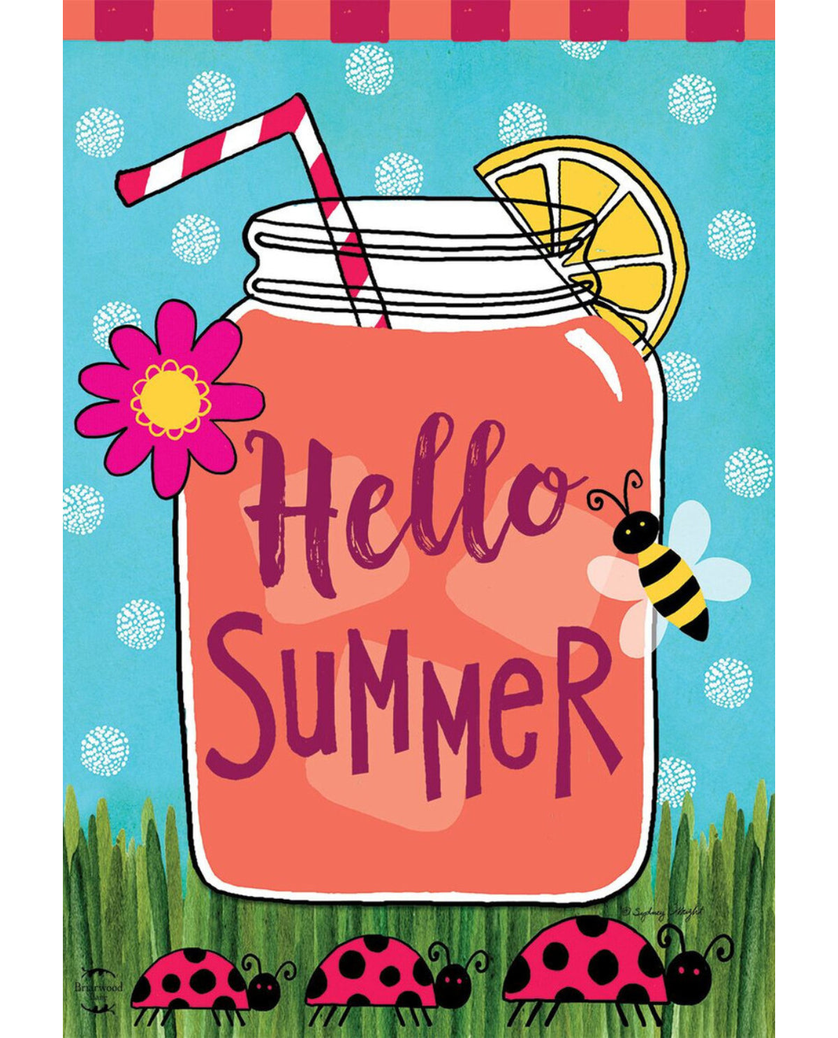 "Hello Summer" Garden Flag