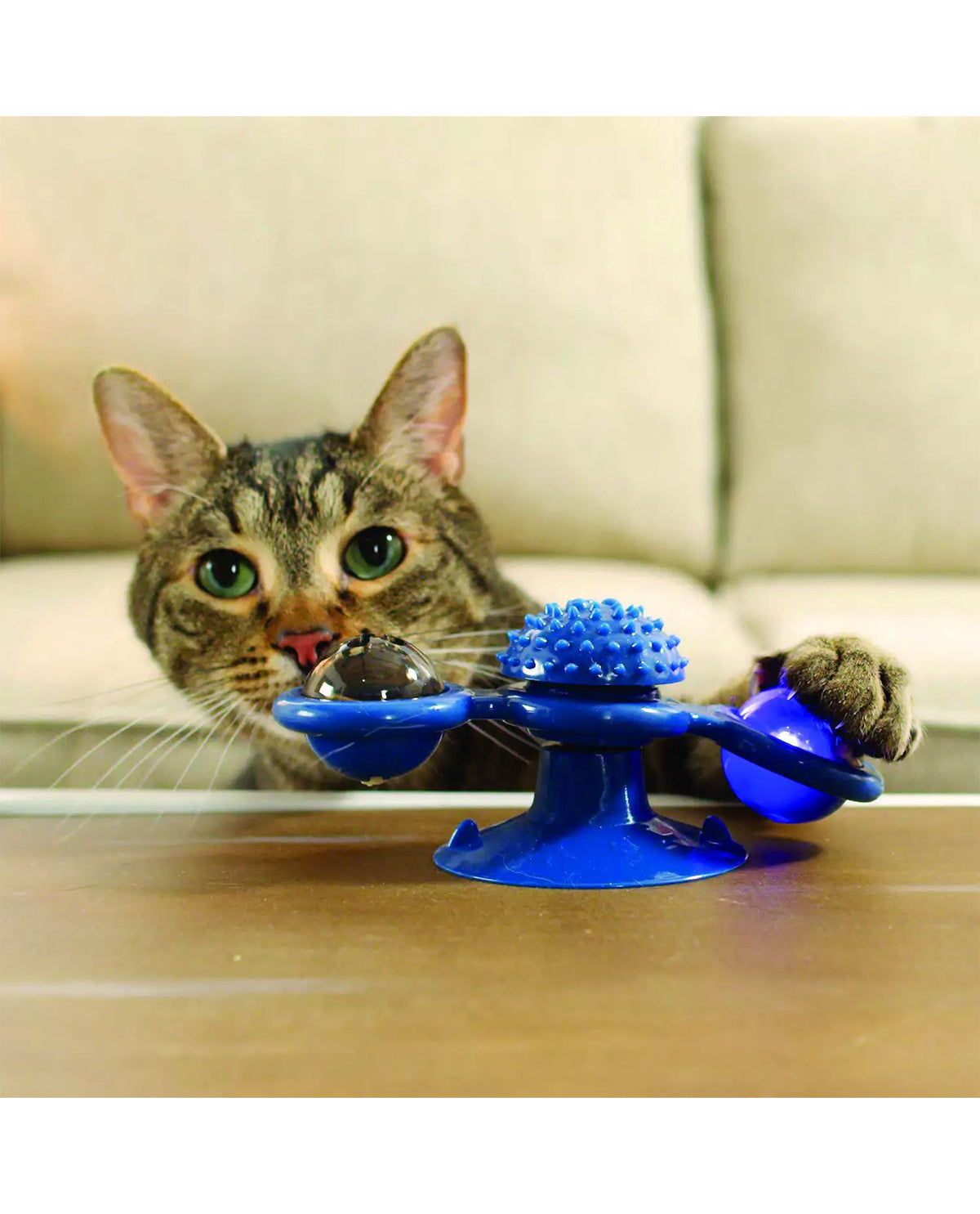 Purrfect Spinner: 2 In 1 Cat Toy & Grooming Brush