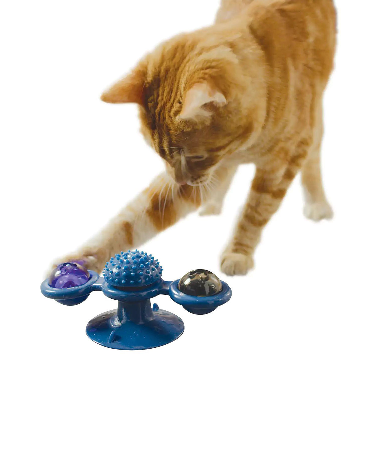 Purrfect Spinner: 2 In 1 Cat Toy & Grooming Brush