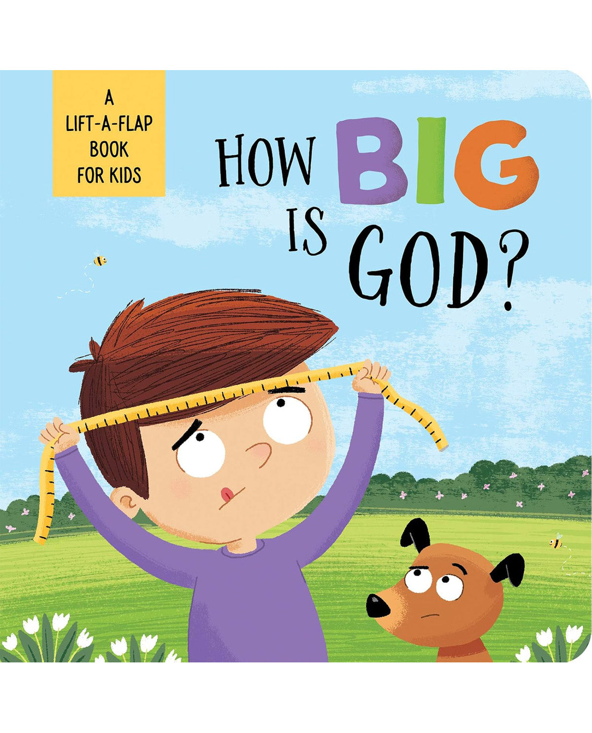 How Big Is God? - A Lift-A-Flap Book for Kids