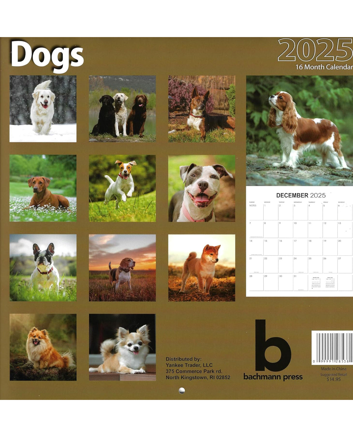 2025 Assorted 16 Month Calendars