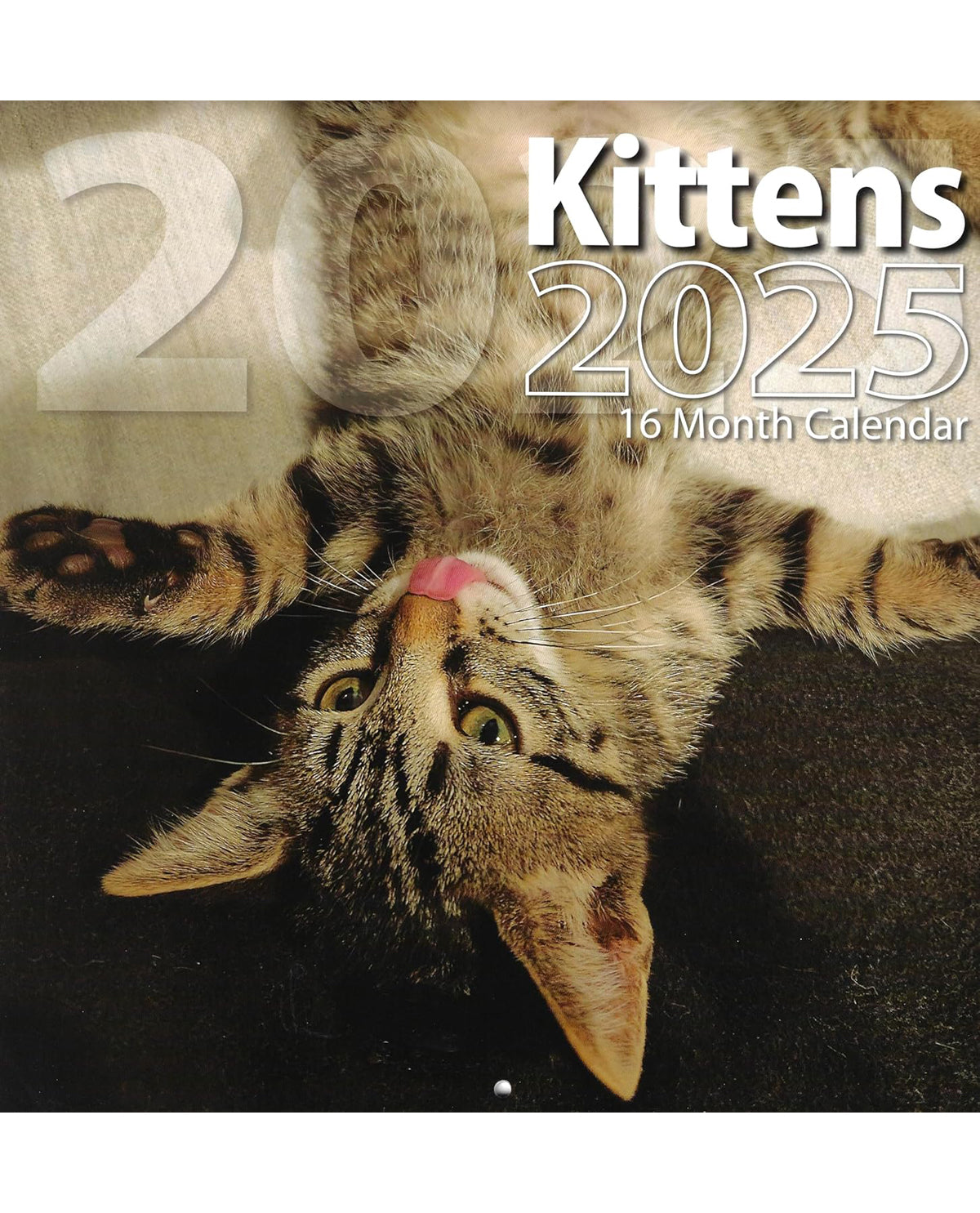 2025 Assorted 16 Month Calendars