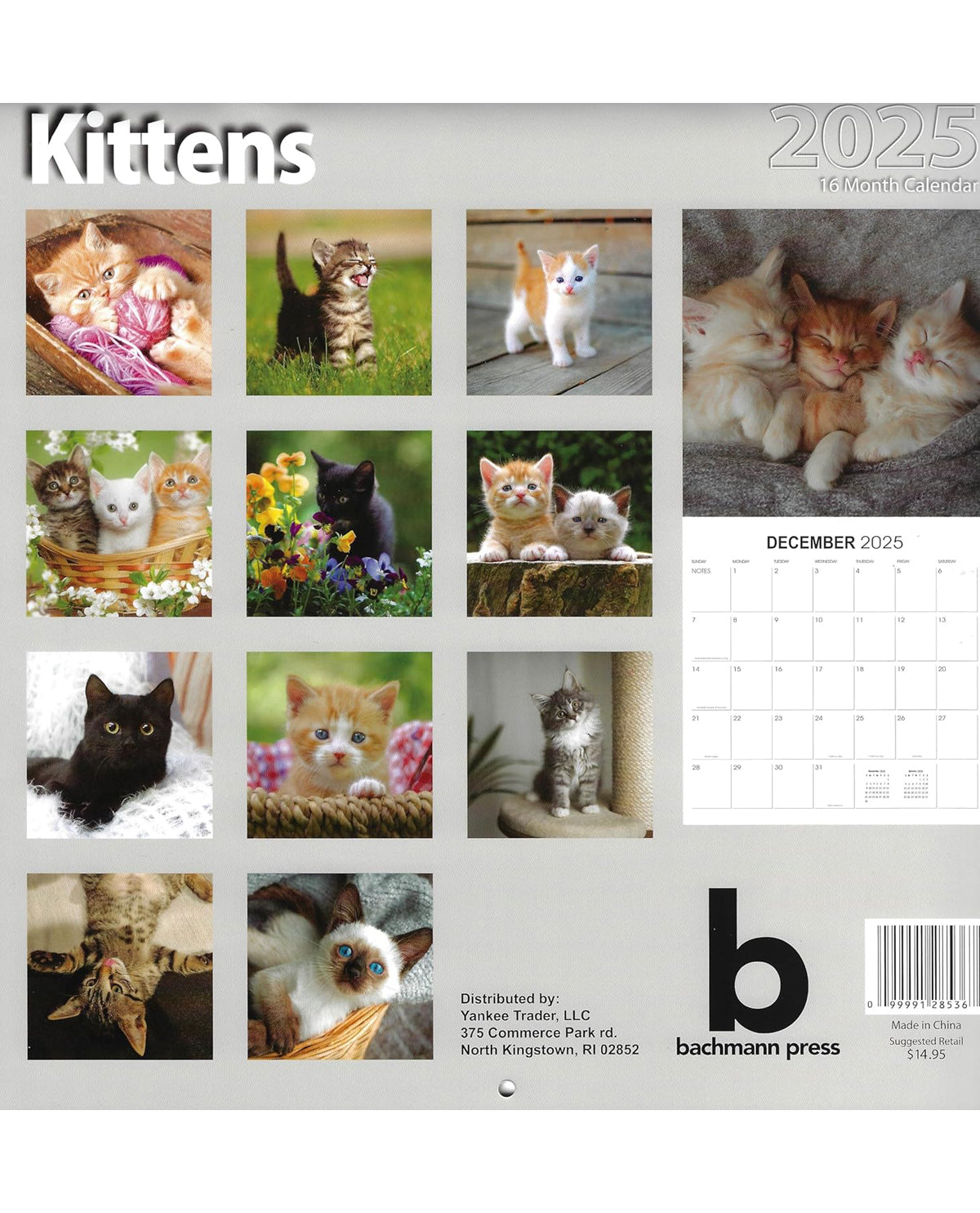 2025 Assorted 16 Month Calendars