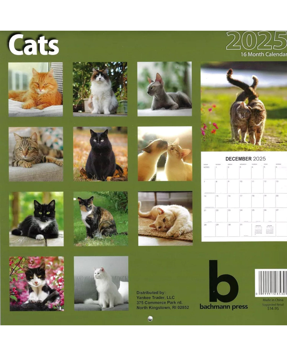 2025 Assorted 16 Month Calendars