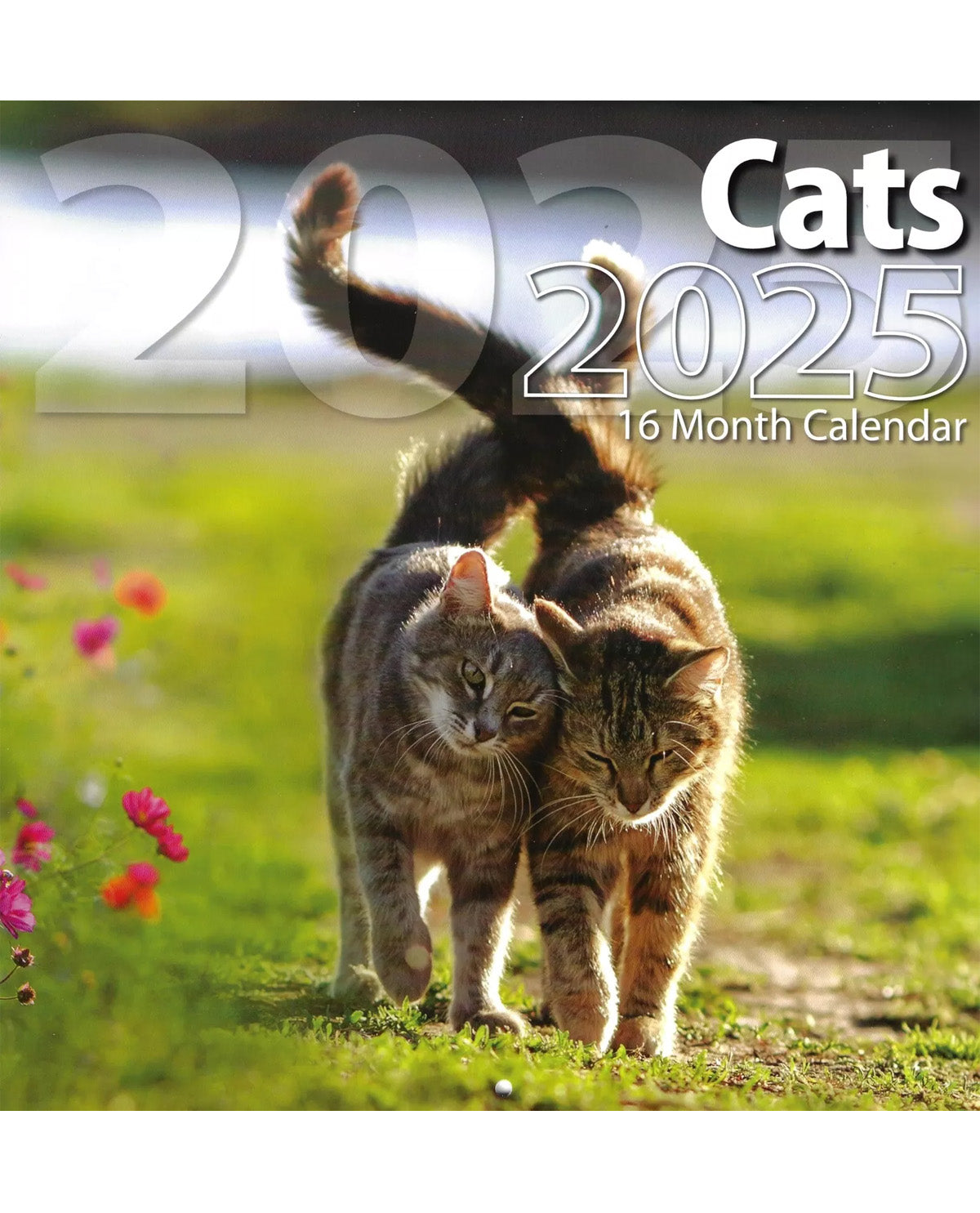 2025 Assorted 16 Month Calendars