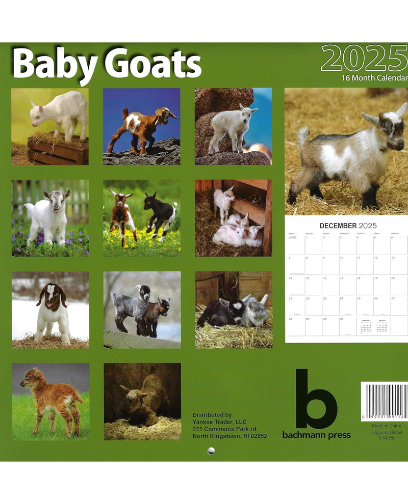 2025 Assorted 16 Month Calendars