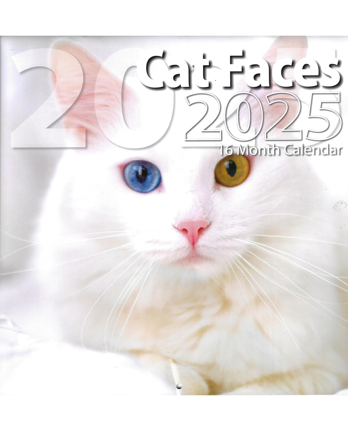 2025 Assorted 16 Month Calendars