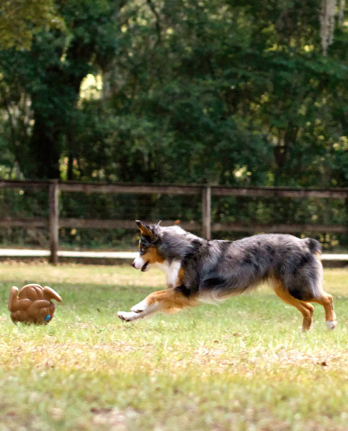 Wobble Wag Squwhirl Whistling Dog Toy