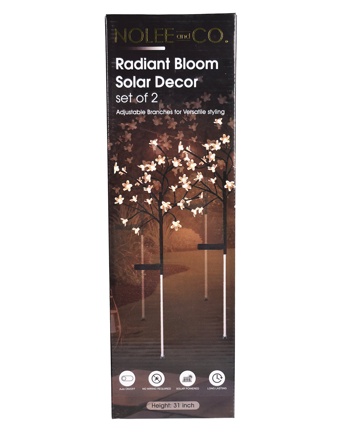 Radiant Bloom LED Solar Set