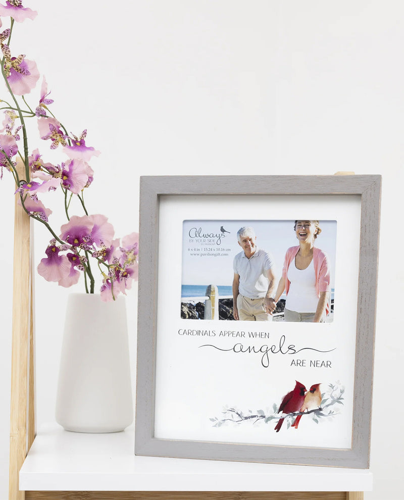 Cardinals Appear Memory Frame