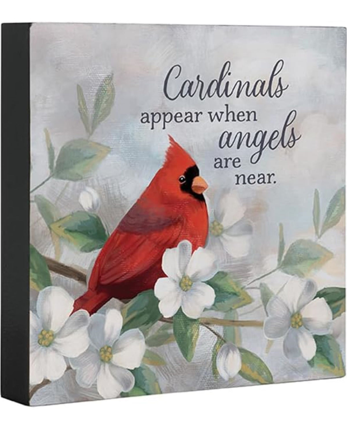 Cardinals Appear Square Sitter