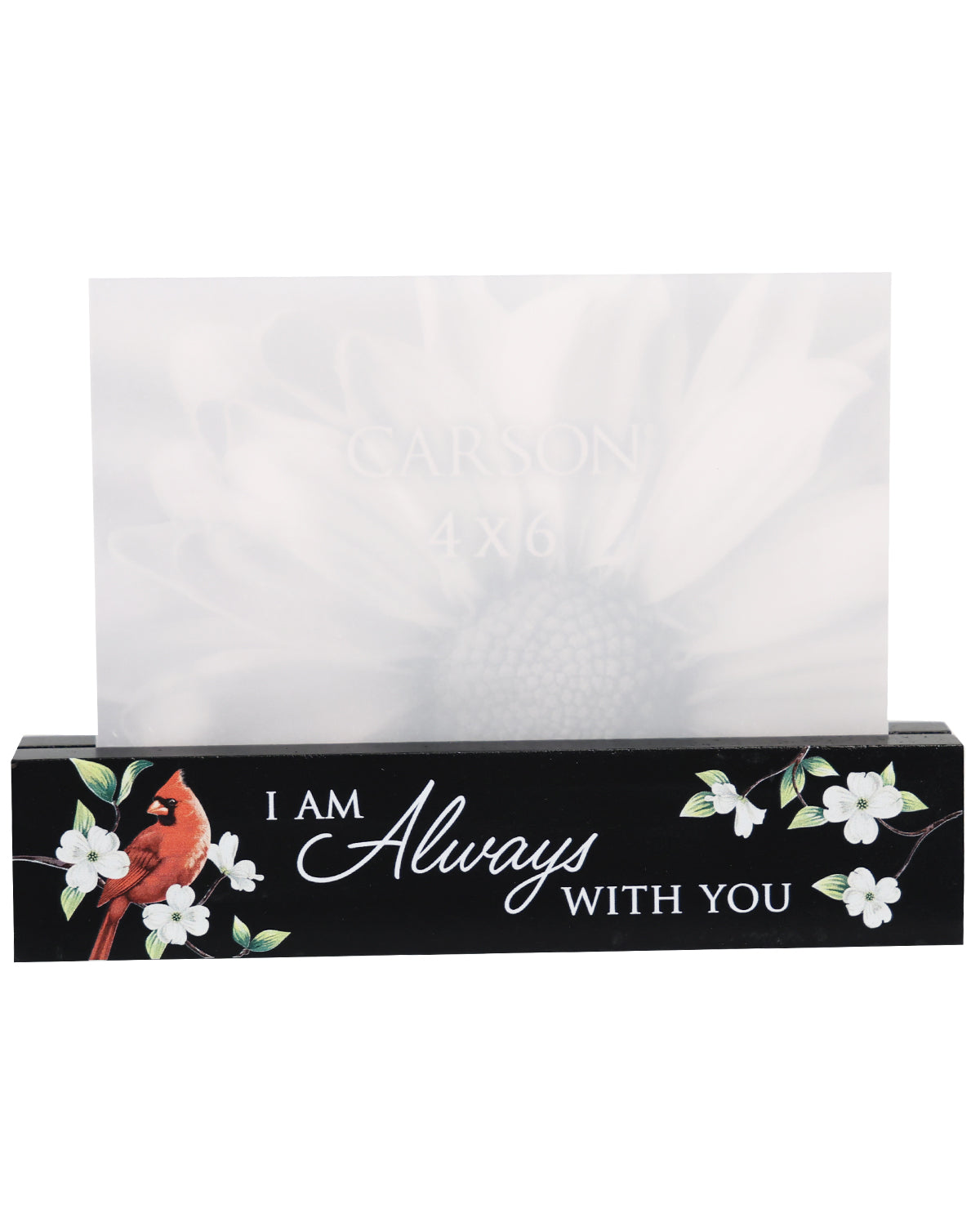 Always With You Photo Bar