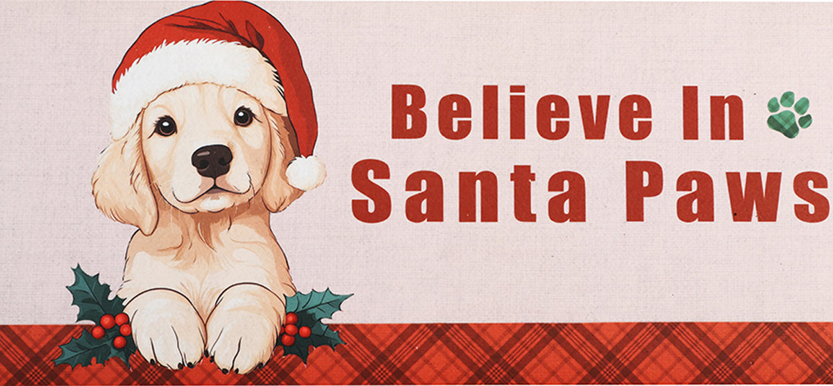 Believe In Santa Paws Sassafras Switch Mat