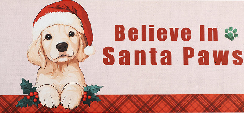 Believe In Santa Paws Sassafras Switch Mat