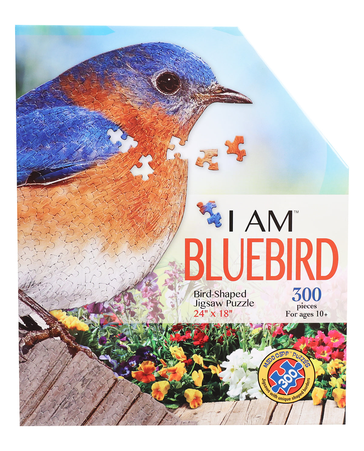 Bluebird-300pc Puzzle
