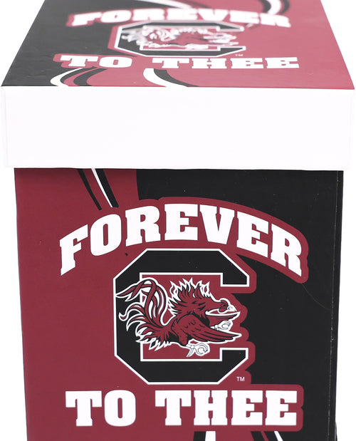USC Gamecocks Boxed Ceramic Coffee Mug