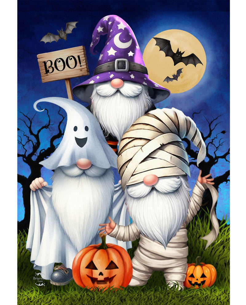 Costume Gnomes Halloween House Flag