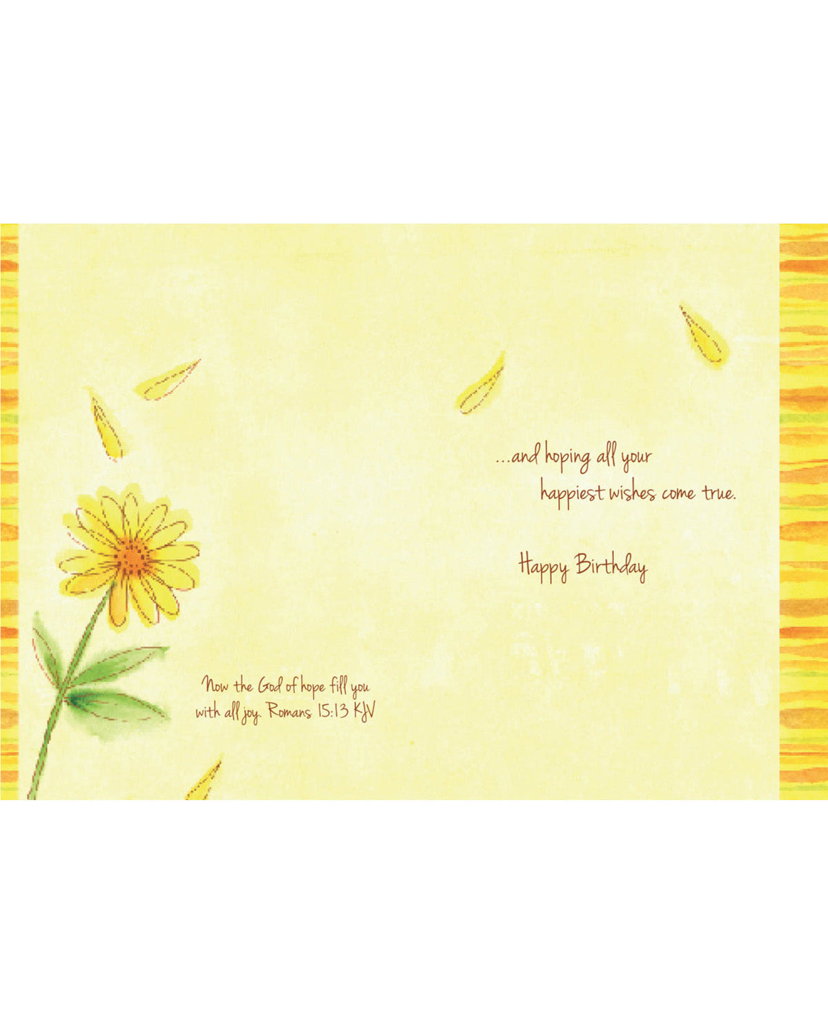 Nicole Brayden Gifts 18 Count Birthday Cards