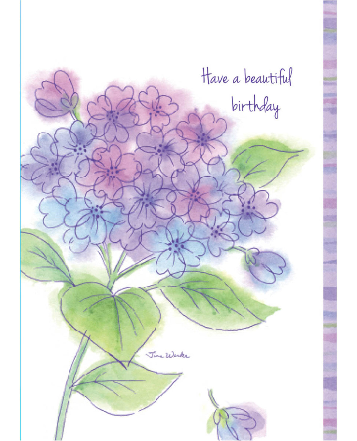 Nicole Brayden Gifts 18 Count Birthday Cards