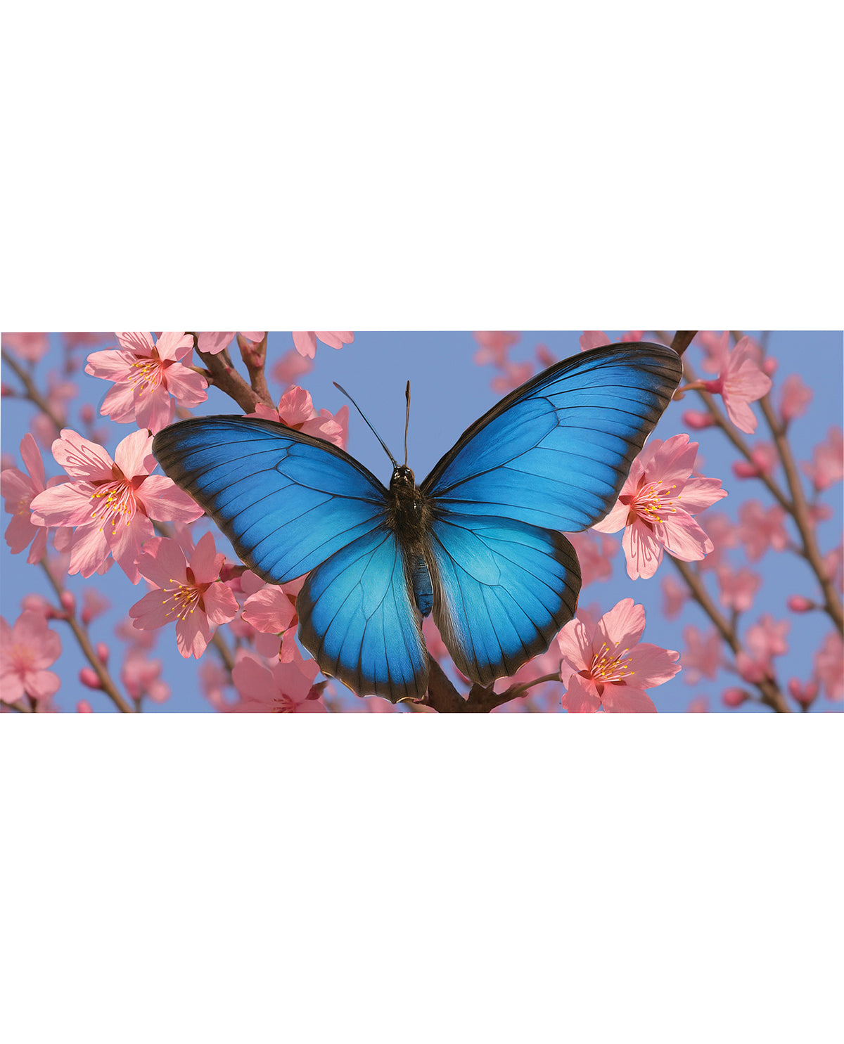 Butterfly & Cherry Blossom Delight Sassafras