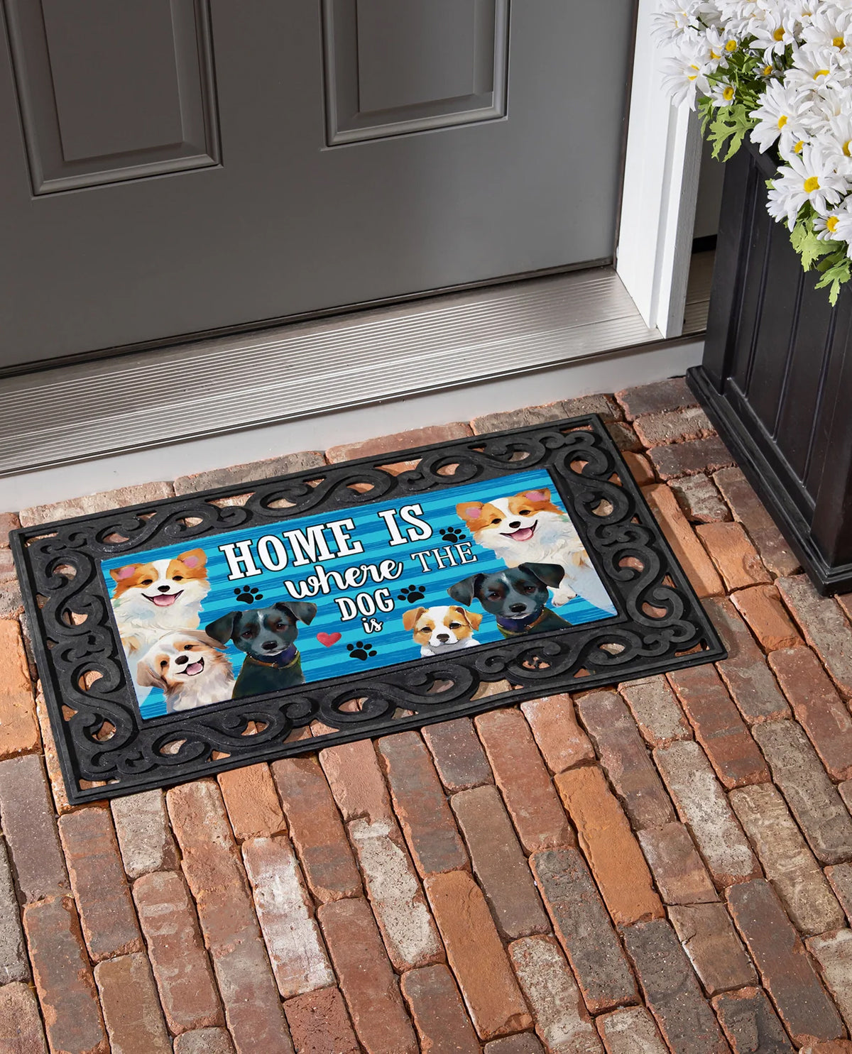 Home Is Where The Dog Is Sassafras