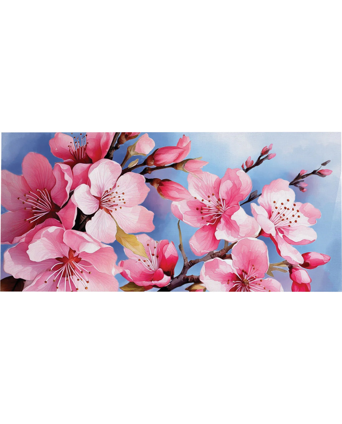 Cherry Blossom Sassafras