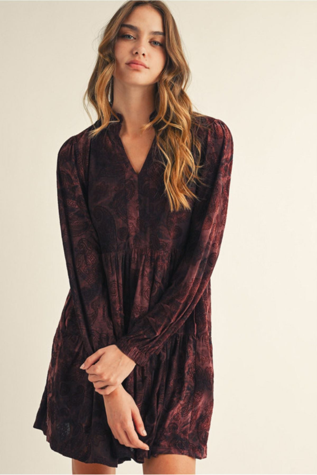 Boho Paisley Velvet Burnout Dress with Side Pockets and Ruffled Neckline
