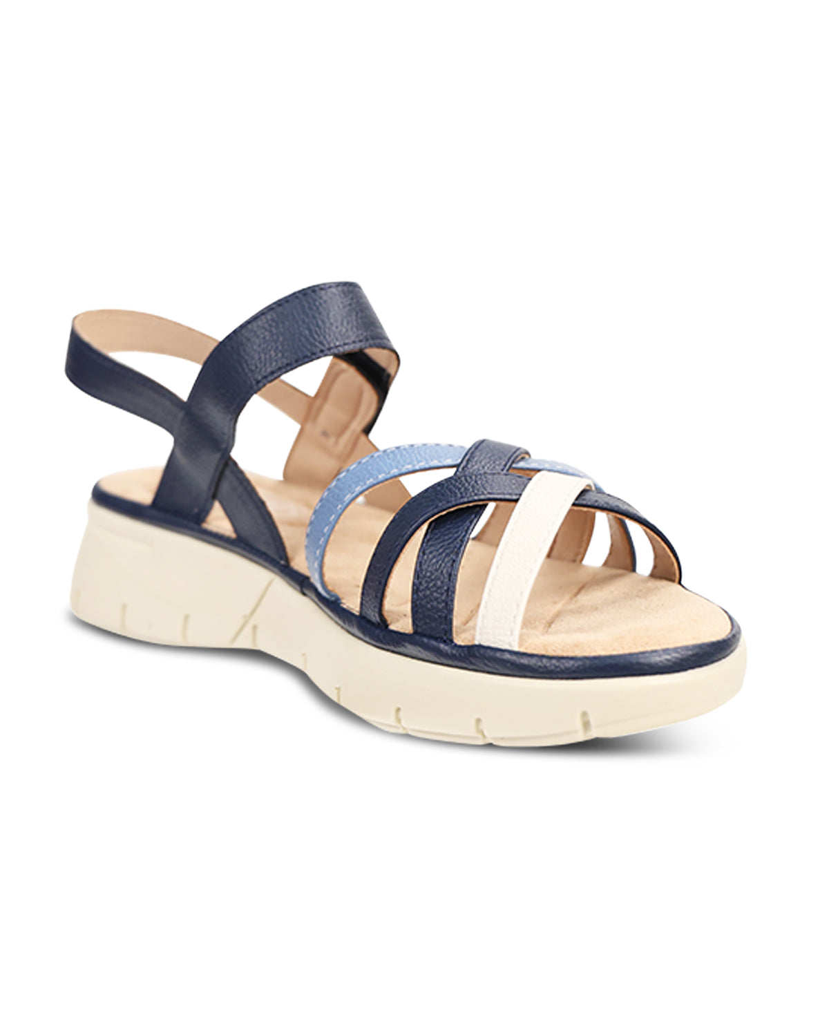 Ingaro Penelope2 Navy Combo