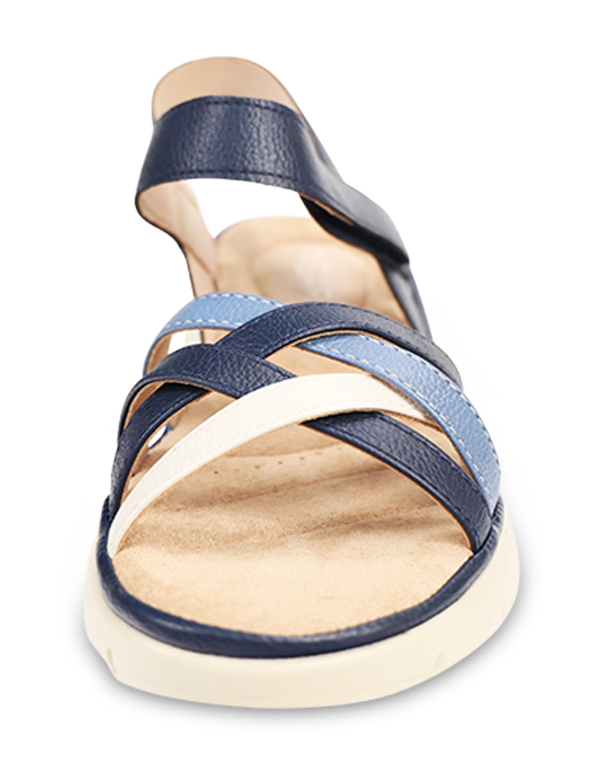 Ingaro Penelope2 Navy Combo