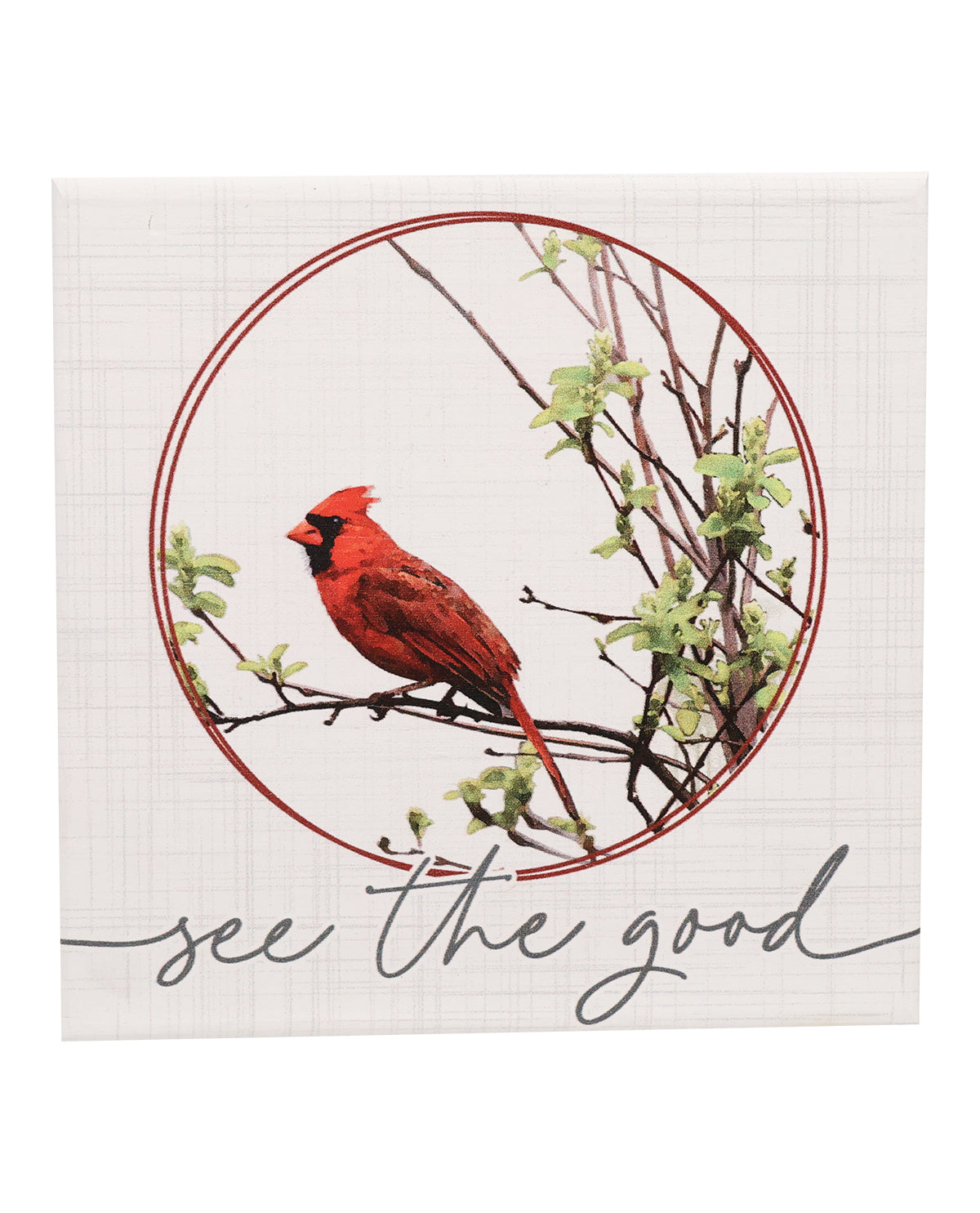 See The Good Cardinal