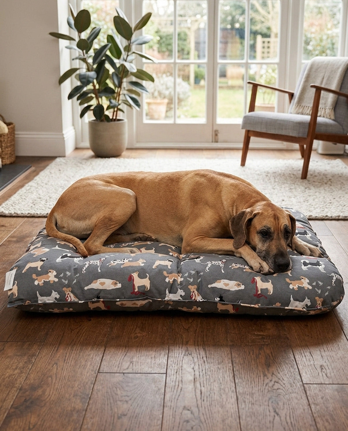 Xlarge Unleashed Pet Bed