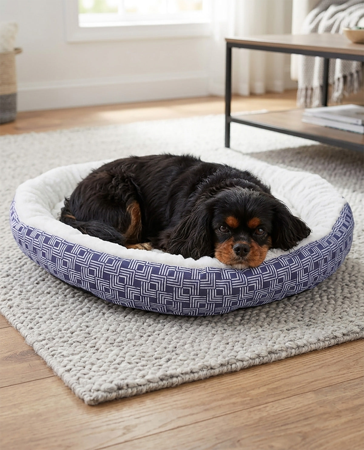 A black and tan dog rests inside a round pet bed with a blue and white geometric patterned exterior and a white sherpa lining, placed on a light gray rug in a living room.