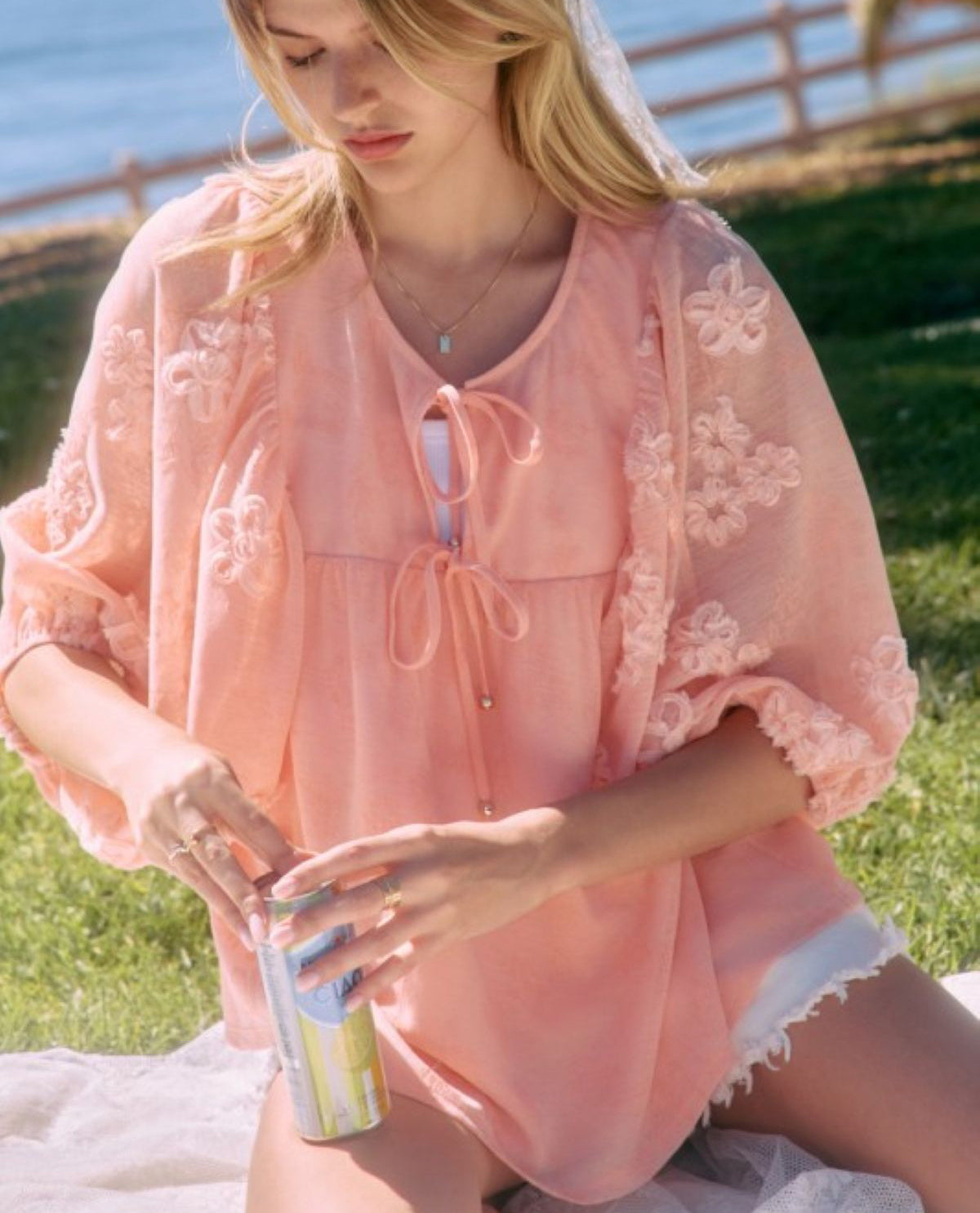 Oddi Embroidered Sheer Blouse Coral