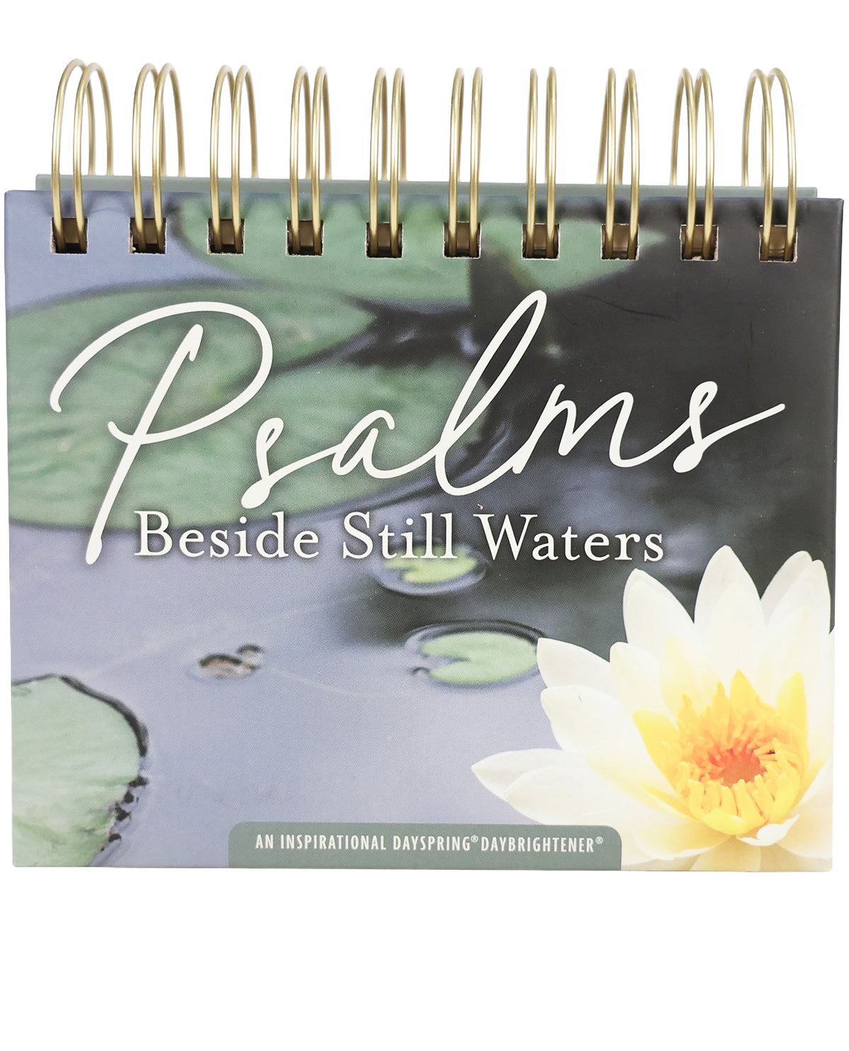 Psalms - Besides Still Waters