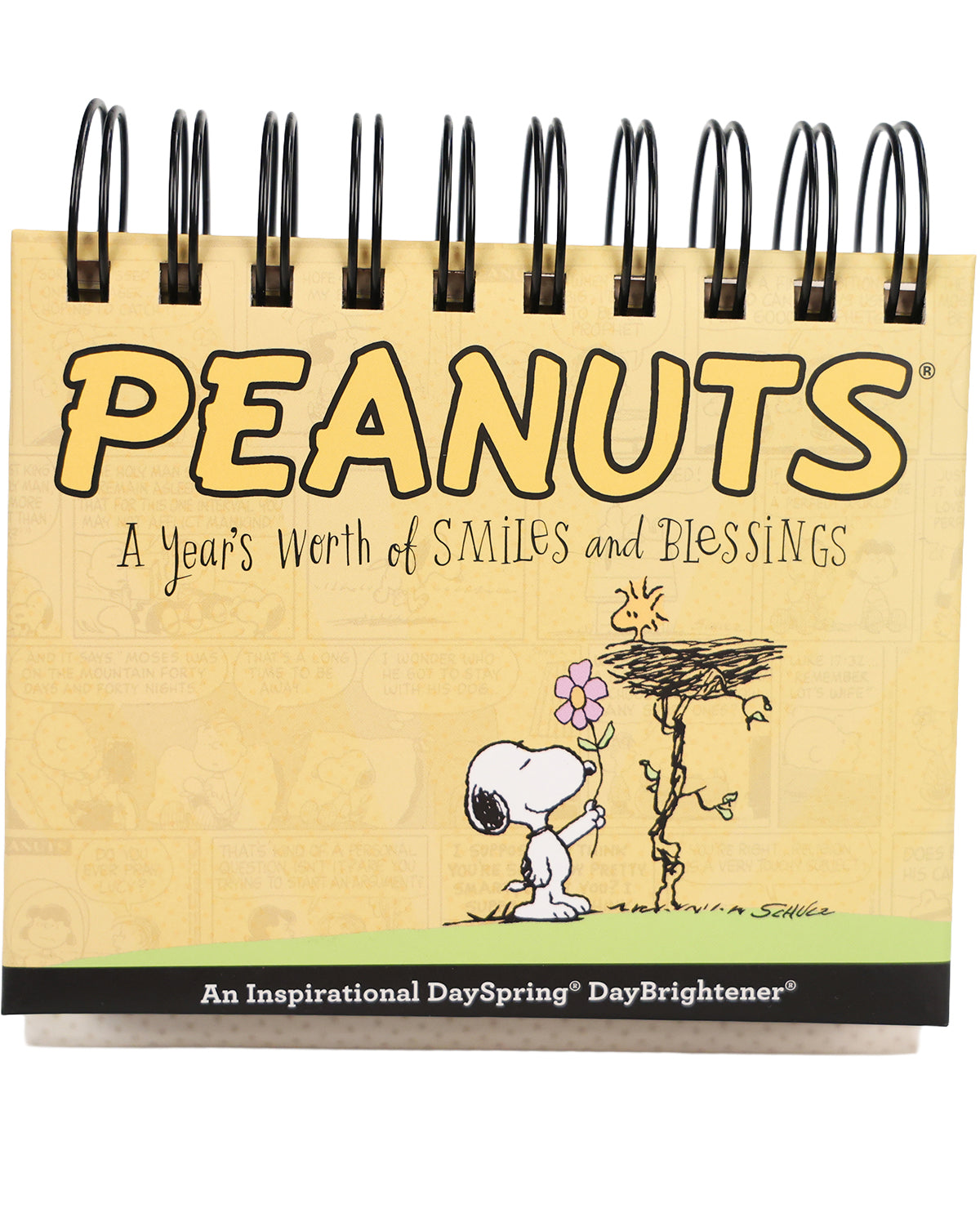 Peanuts - A Year's Worth of Smiles & Blessings