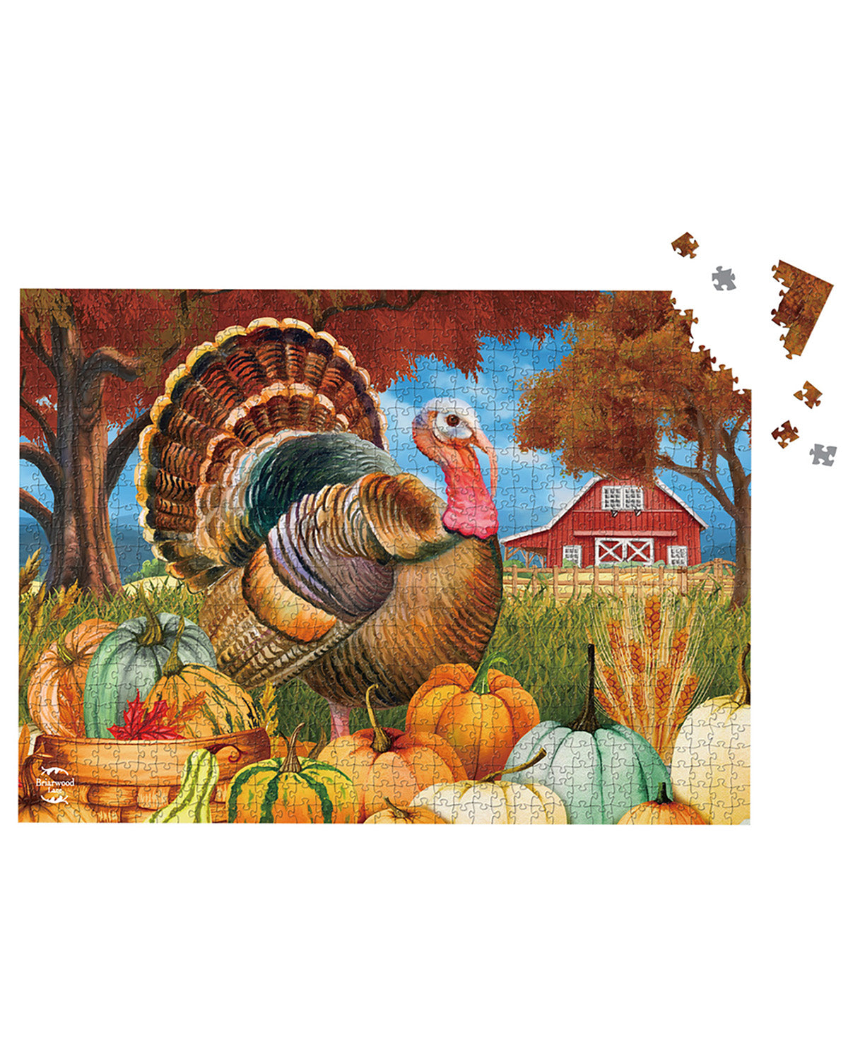 A completed autumn-themed jigsaw puzzle showing a large turkey among pumpkins and gourds, with trees, a red barn, and a blue sky in the background. Several loose puzzle pieces are shown floating at the top right on a white background.