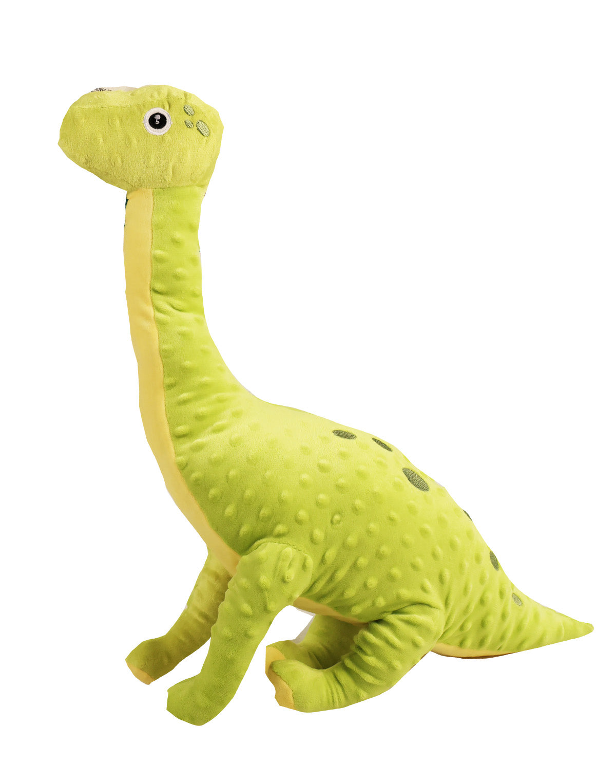 Dinosaur 30" Pet Toy