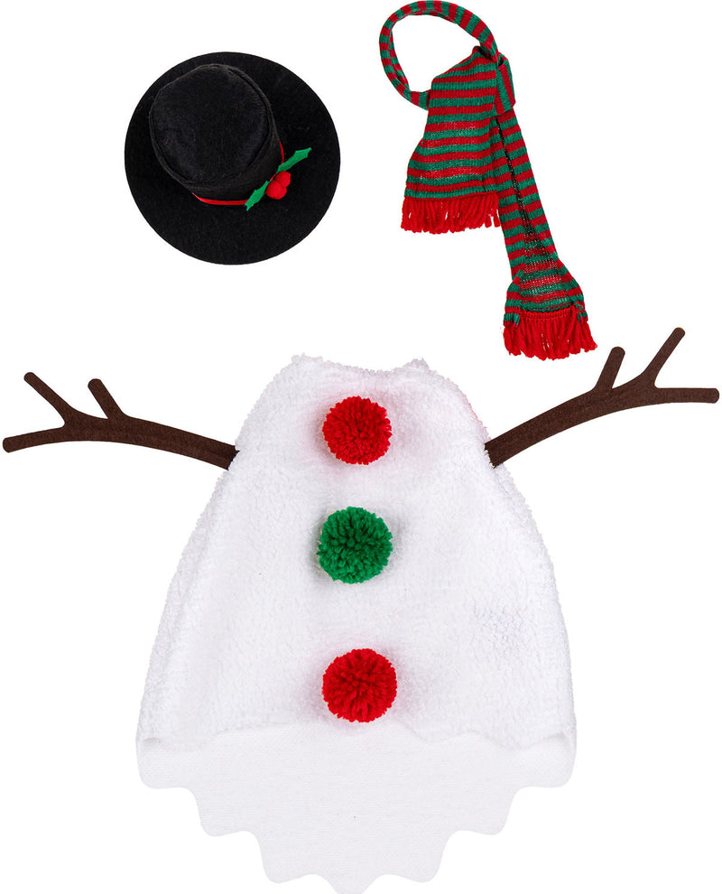 Evergreen Porch Goose Outfit Snowman