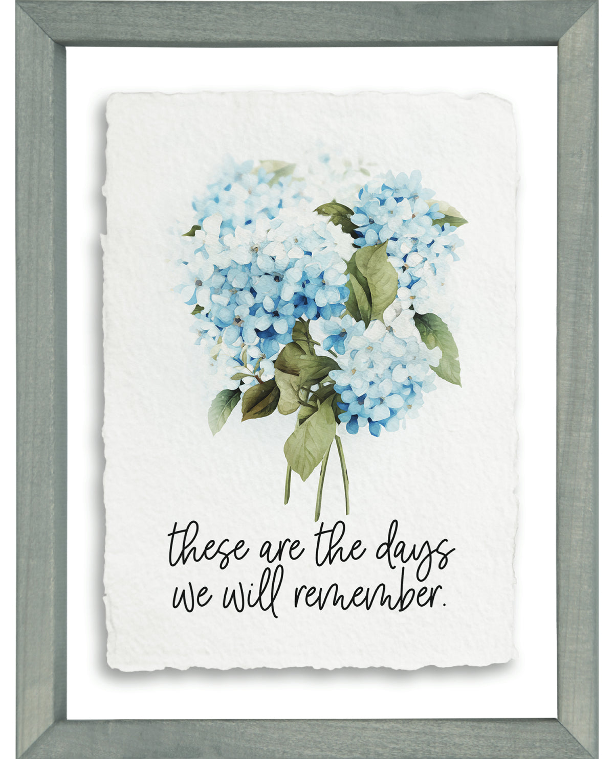Days Remember Hydrangea