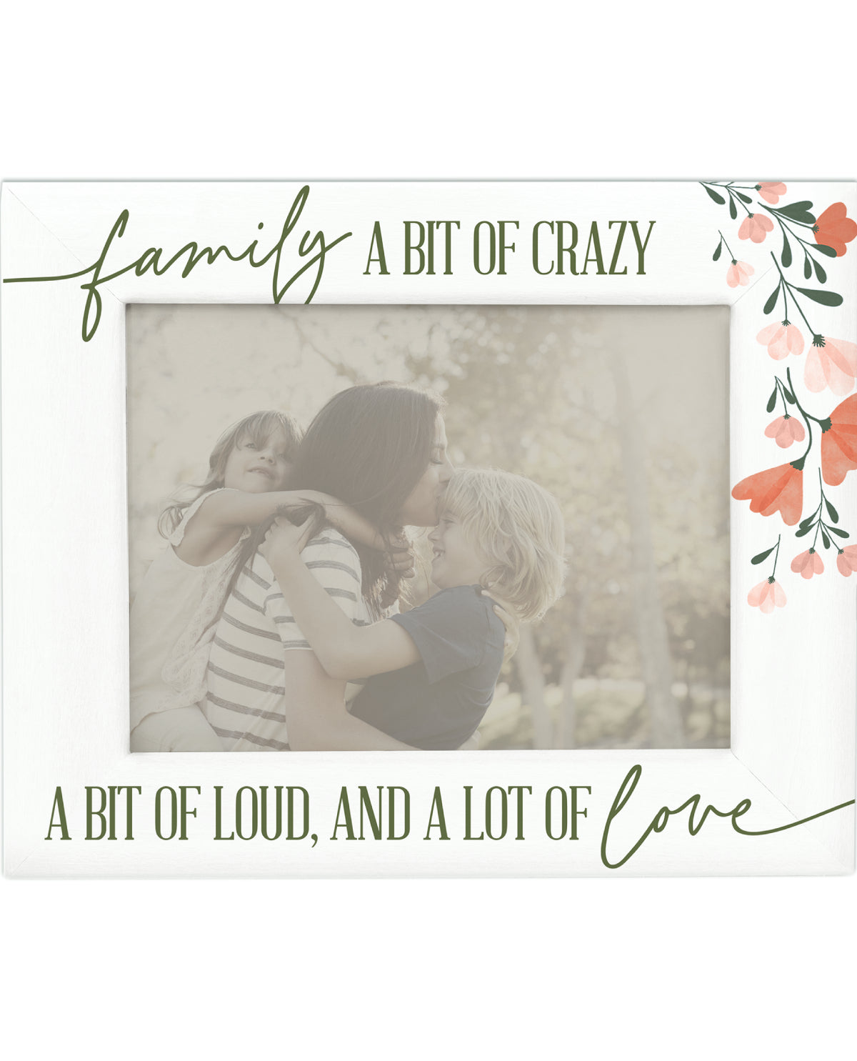 Family Bit Of Crazy Frame