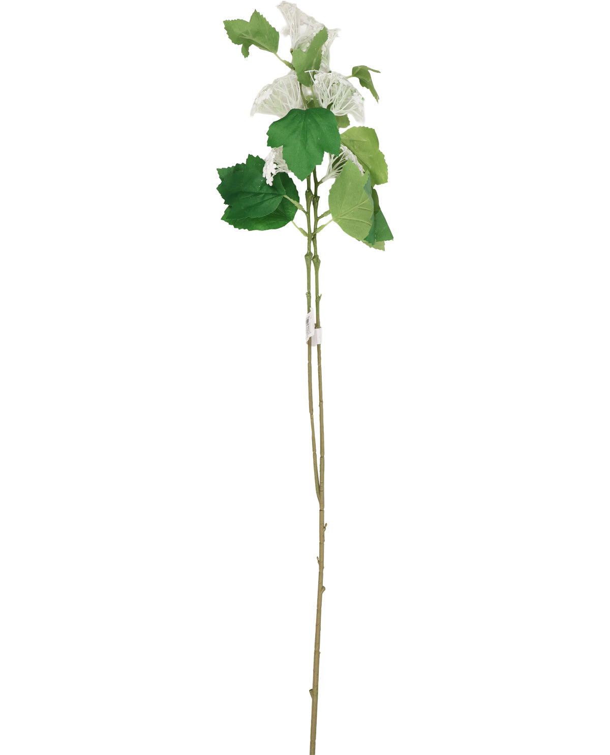 Artificial flower stem with white flowers and green leaves on a white background