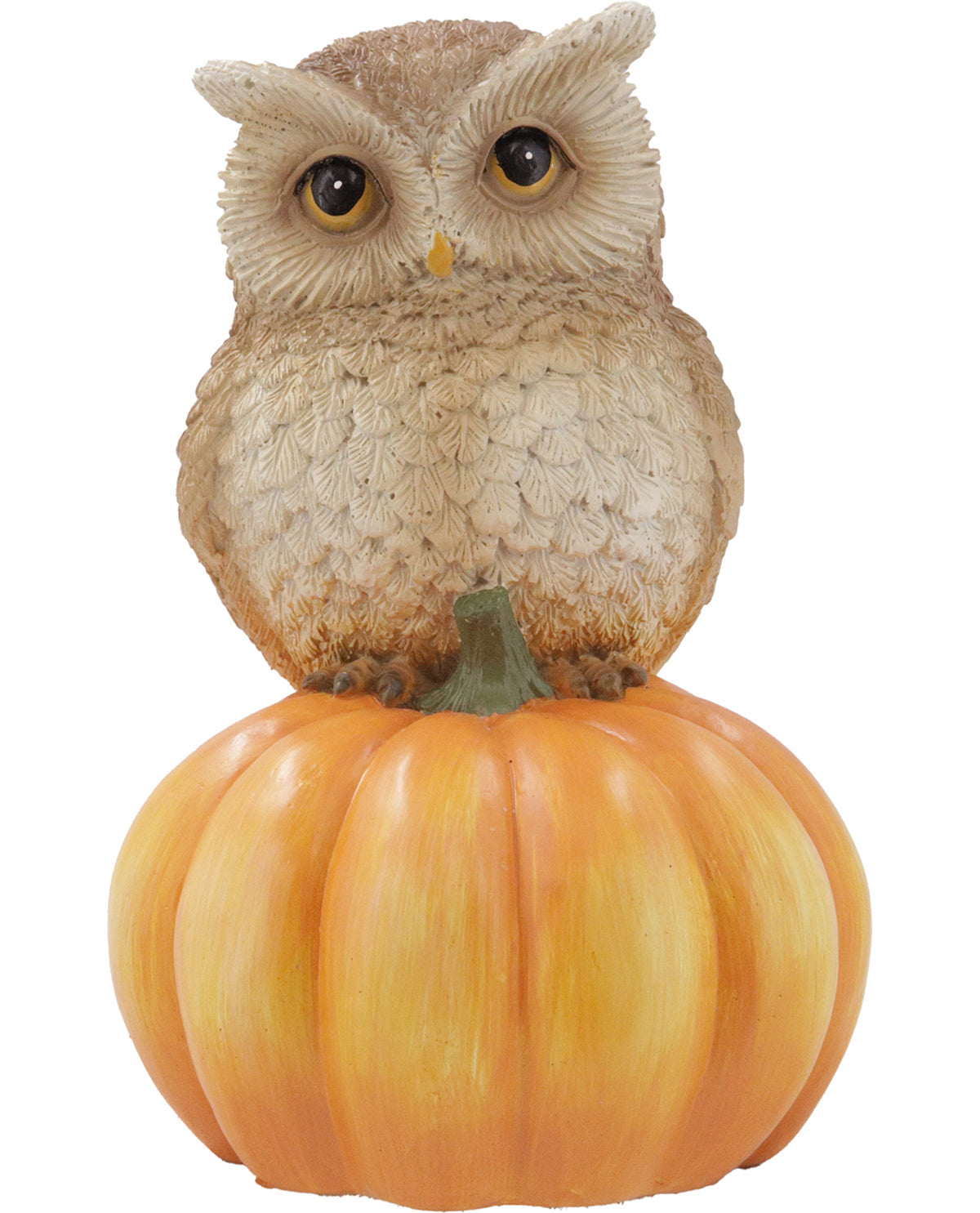 Owl Pumpkin