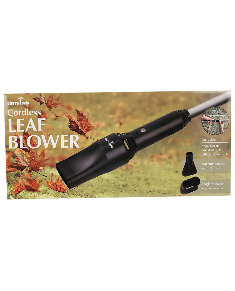 Cordless leaf blower in its retail packaging, featuring a black wand-style blower with a silver pole, shown alongside two nozzle attachments on a grassy background with autumn leaves.